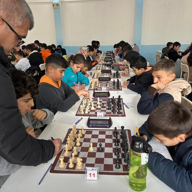 Mardin'de satranç turnuvası başladı