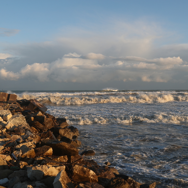 Sakarya, Bartın ve Düzce'de olumsuz hava şartları etkili oluyor