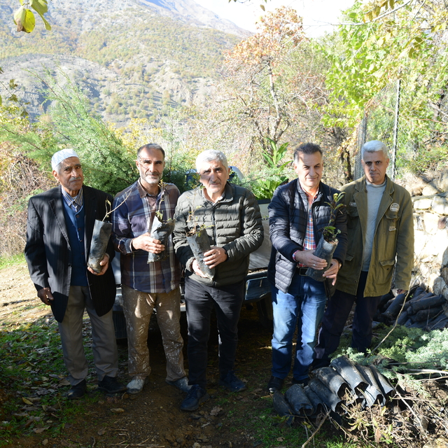 Diyarbakır Büyükşehir Belediyesinden Kulp'ta üreticilere fidan desteği