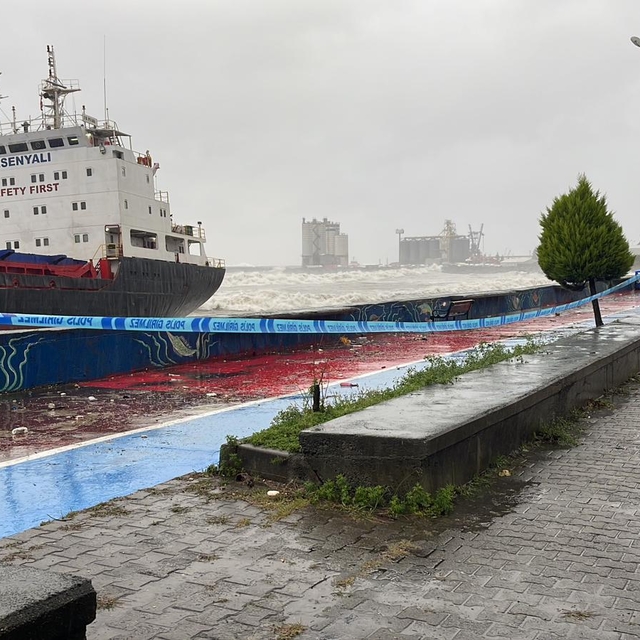 Artvin'de fırtına; kuru yük gemisi karaya oturdu, 13 kişi kurtarıldı (3)