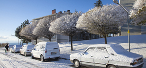 Bitlis'te kar yağışı etkili oldu