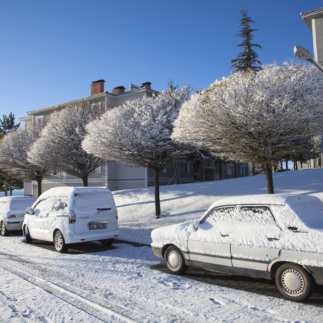 Bitlis'te kar yağışı etkili oldu