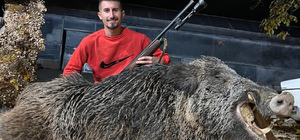 Bahçesine zarar verip, köpeğine saldırdığını söylediği 397 kiloluk domuzu ö...