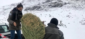Niğde'de yaban hayvanları için doğaya yem bırakıldı
