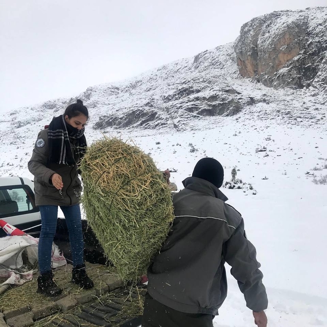 Niğde'de yaban hayvanları için doğaya yem bırakıldı