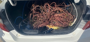 Afyonkarahisar'da trafodan kablo çalan hırsızlar yakalandı