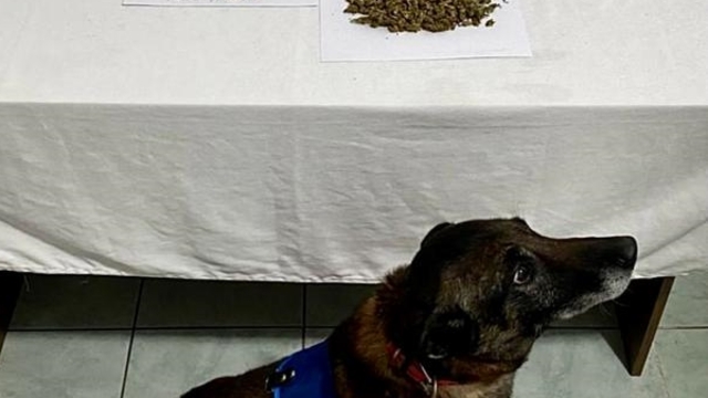 Ardahan'da uyuşturucu operasyonunda 2 zanlı yakalandı