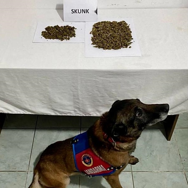 Ardahan'da uyuşturucu operasyonunda 2 zanlı yakalandı