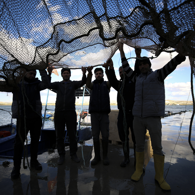 Fırat Nehri balık üretimiyle de adından söz ettiriyor