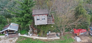 Ordulu ailenin 17 metrekarelik ağaç evi hafta sonları buluşma noktası oldu