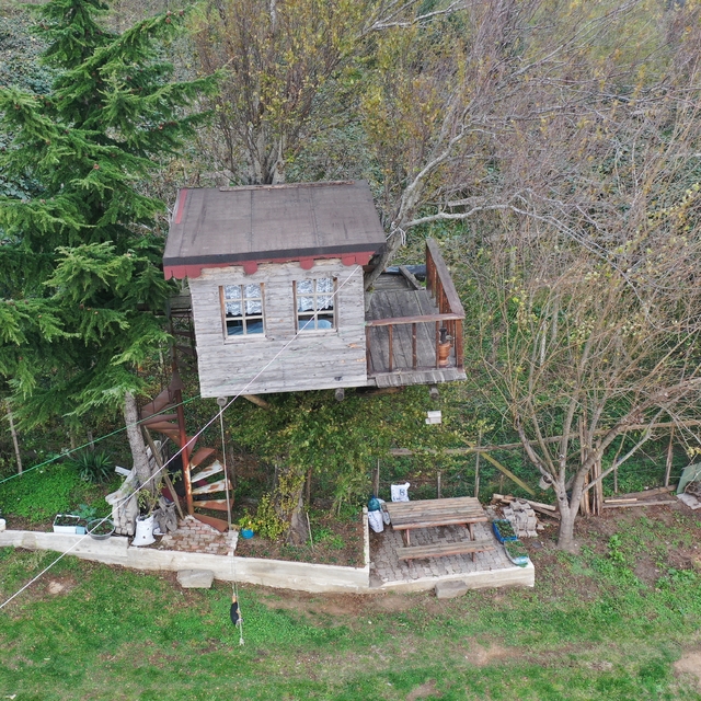 Ordulu ailenin 17 metrekarelik ağaç evi hafta sonları buluşma noktası oldu