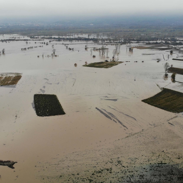 Çanakkale'de sağanak tarım arazilerini vurdu, evleri su bastı