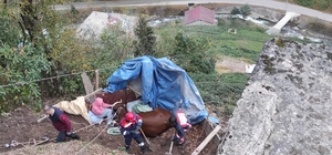 Trabzon'da yamaçtan yuvarlanan inek itfaiye ekiplerince kurtarıldı