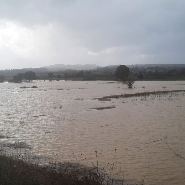 Çanakkale'deki şiddetli yağıştan 7 bin dönüme yakın tarım arazisi zarar gör...