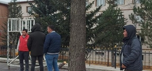 Sivas Belediyesi ağaçlara zarar verenler hakkında suç duyurusunda bulundu