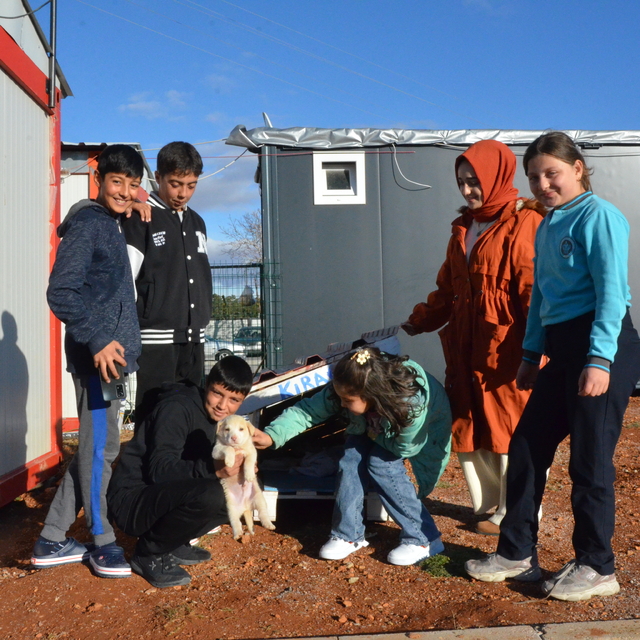 Köpek yavrusu "Kırağ", konteyner kentteki çocukların maskotu oldu