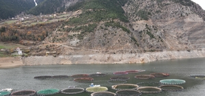 Gümüşhane´nin Karadeniz Türk somonu ihracatı 2 milyar dolara çıktı