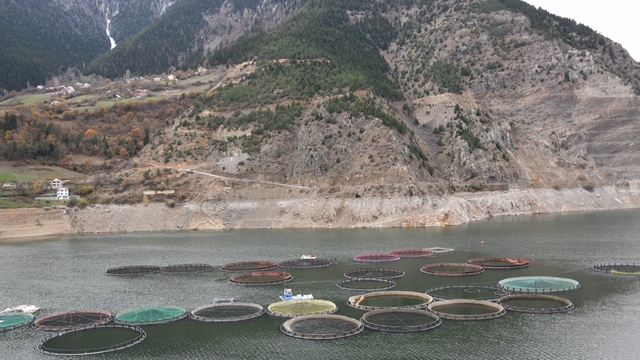 Gümüşhane´nin Karadeniz Türk somonu ihracatı 2 milyar dolara çıktı