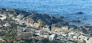 Odun toplamaya gittiği sahilde kaybolan kadını arama çalışmalarında 5'inci gün