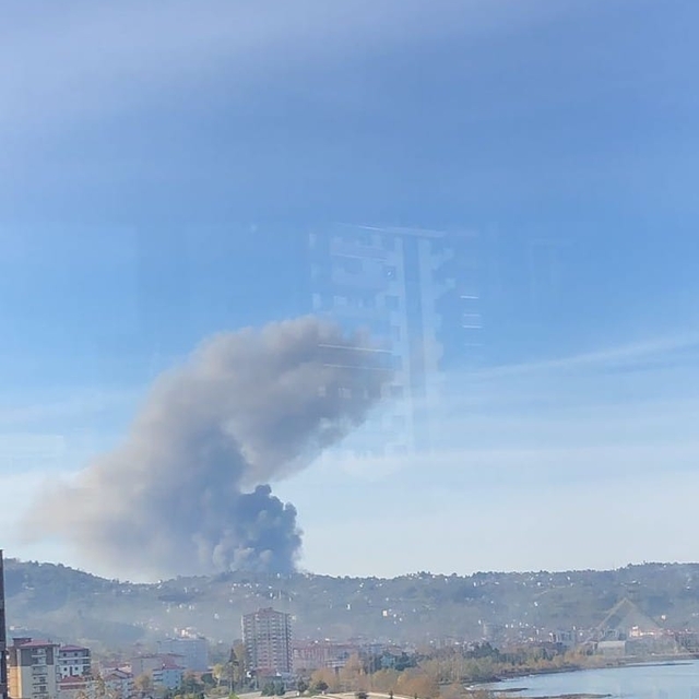 Giresun´da fabrikada yangın