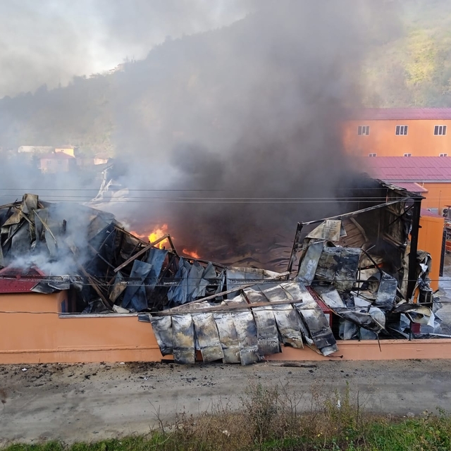 Giresun'da balık işleme fabrikasının soğuk hava deposunda yangın çıktı