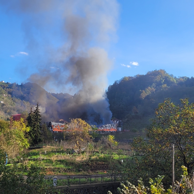 Giresun´da fabrikada yangın (2)