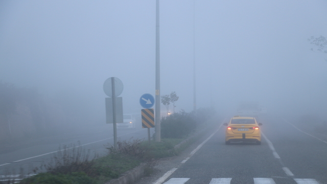 Siirt'te sis etkili oldu