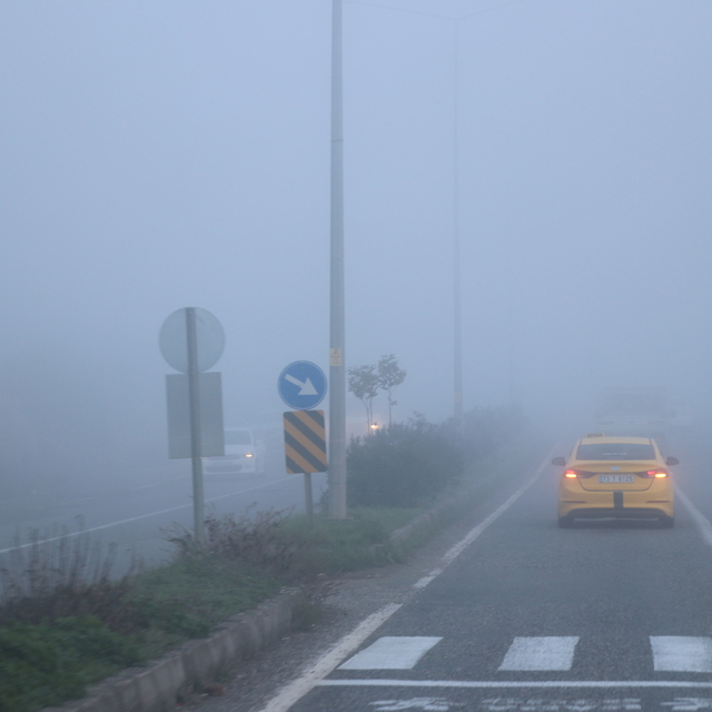 Siirt'te sis etkili oldu