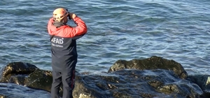 Odun toplamaya gittiği sahilde kaybolan kadını arama çalışmalarında 6'ncı gün
