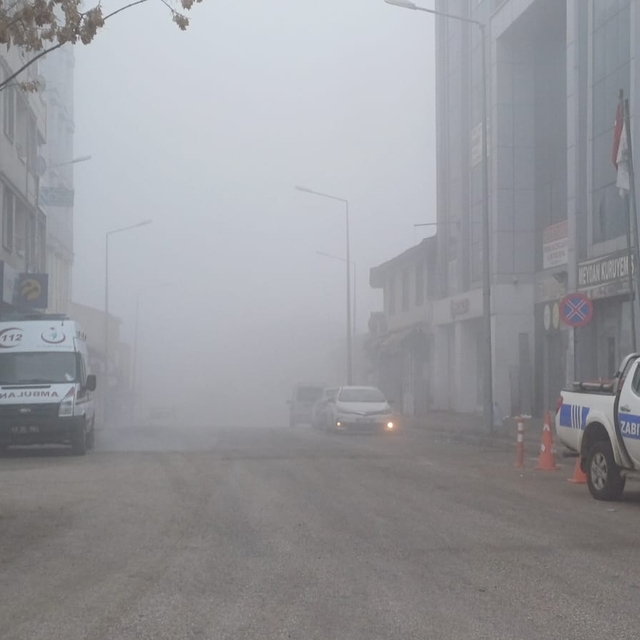 Malazgirt'te sis etkili oldu