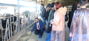 Niğde Ömer Halisdemir Üniversitesi'nde uygulamalı hayvan bakım eğitimi veri...