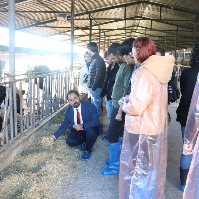 Niğde Ömer Halisdemir Üniversitesi'nde uygulamalı hayvan bakım eğitimi veri...