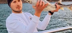 Nesli tükenme tehlikesi altında olan mersin balığını yakalayıp, denize sald...