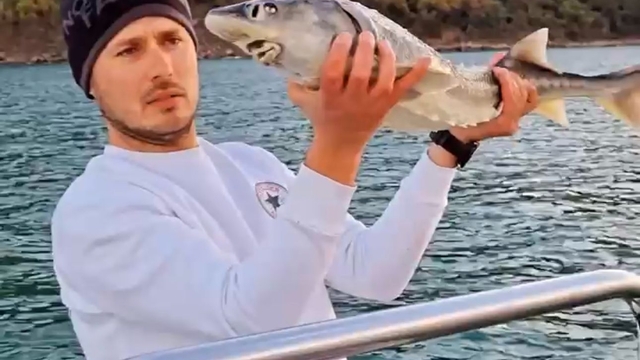 Nesli tükenme tehlikesi altında olan mersin balığını yakalayıp, denize saldı