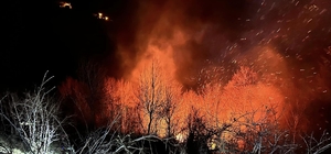 Ordu'da çıkan örtü yangını kontrol altına alındı