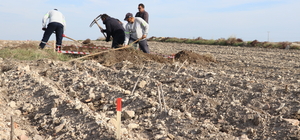 Adana'daki Magarsus Antik Kenti'nde çalışmalar Athena Tapınağı'na yoğunlaşt...