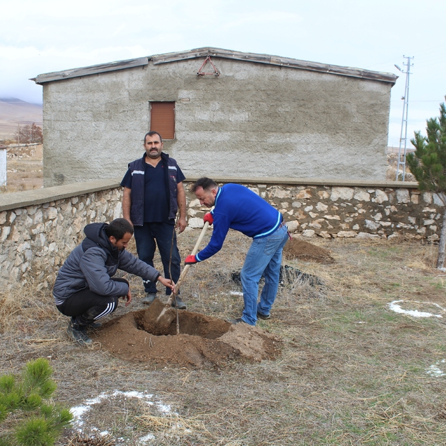 Yunak'ta okul bahçesindeki atıl arazi meyve bahçesine dönüştürüldü