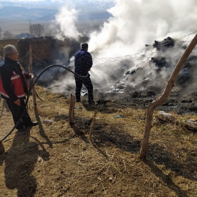 Başkale'de 3 bin 500 bağ ot yandı