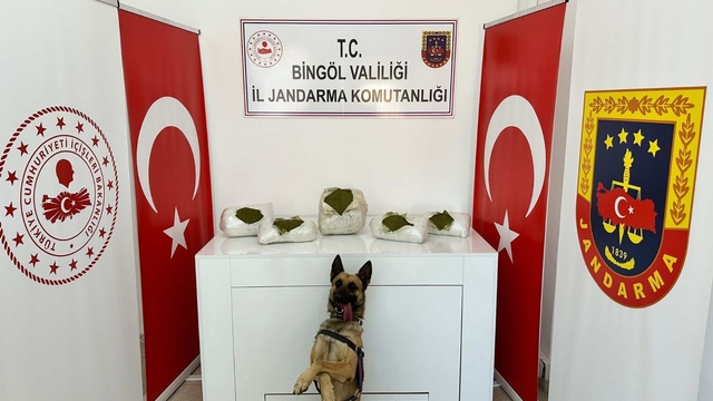 Bingöl'de 13 kilo 500 gram esrar ele geçirildi