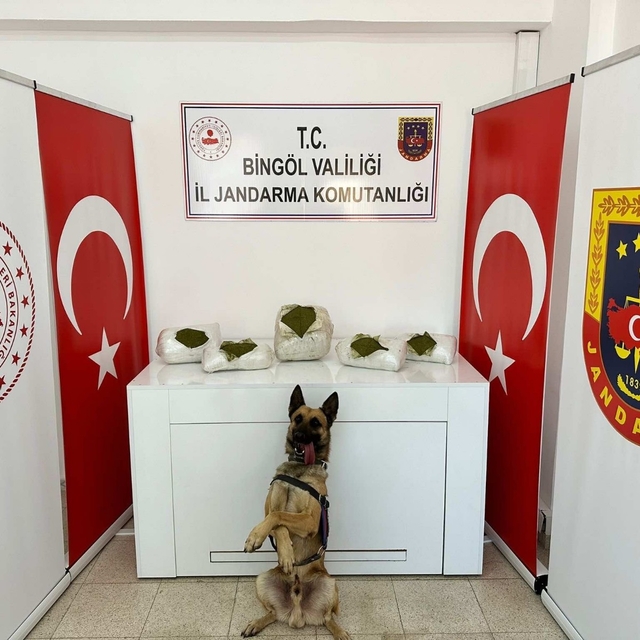 Bingöl'de 13 kilo 500 gram esrar ele geçirildi