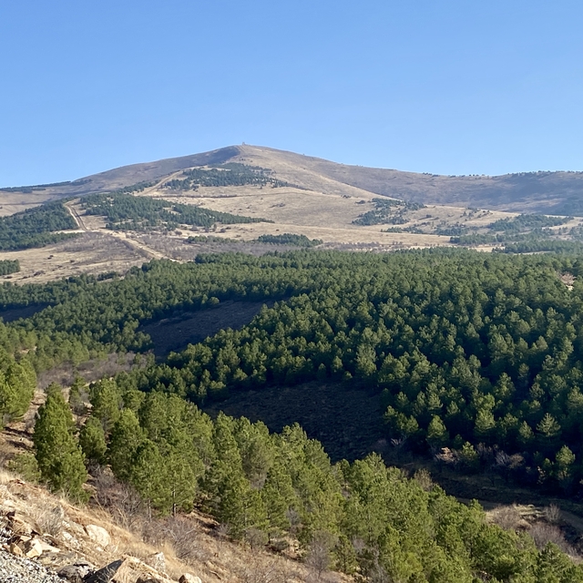 Fidanlar bozkırın topraklarına erozyonla mücadele için dikiliyor