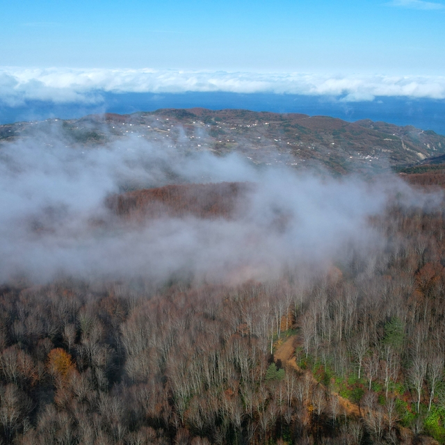Kastamonu'da vadilere çöken sis ve ormanlık alanlar dron ile görüntülendi