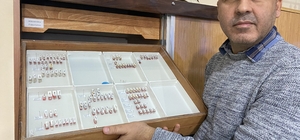 Sivas'taki Yıldız Dağları'nda yeni bir böcek türü keşfedildi