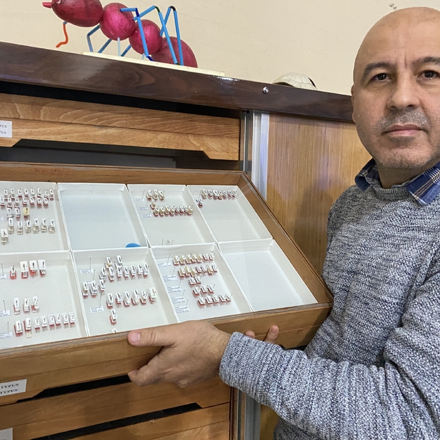 Sivas'taki Yıldız Dağları'nda yeni bir böcek türü keşfedildi