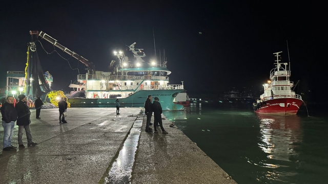 Bartın'da balıkçılar, 300 ton hamsiyle döndü