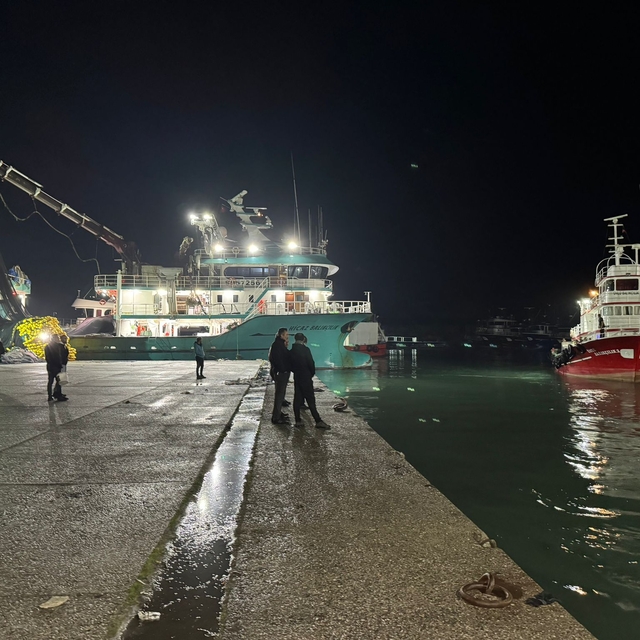 Bartın'da balıkçılar, 300 ton hamsiyle döndü