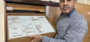 Sivas'ta yeni bir böcek türü keşfedildi; Medon turcicus