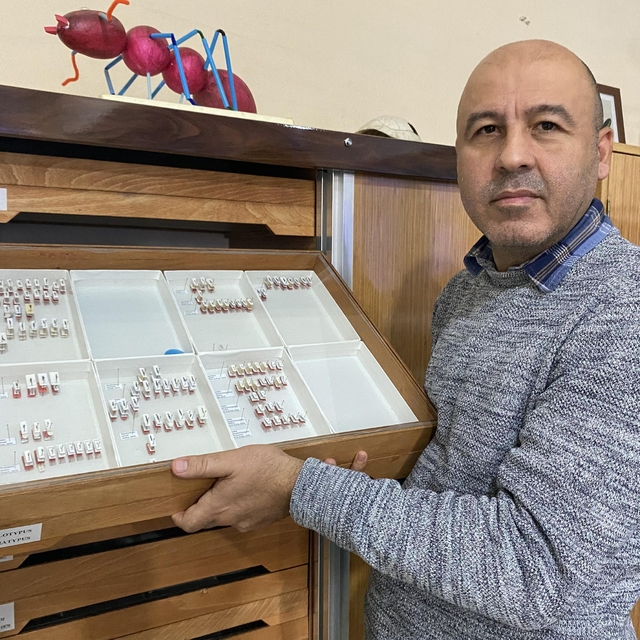 Sivas'ta yeni bir böcek türü keşfedildi; Medon turcicus