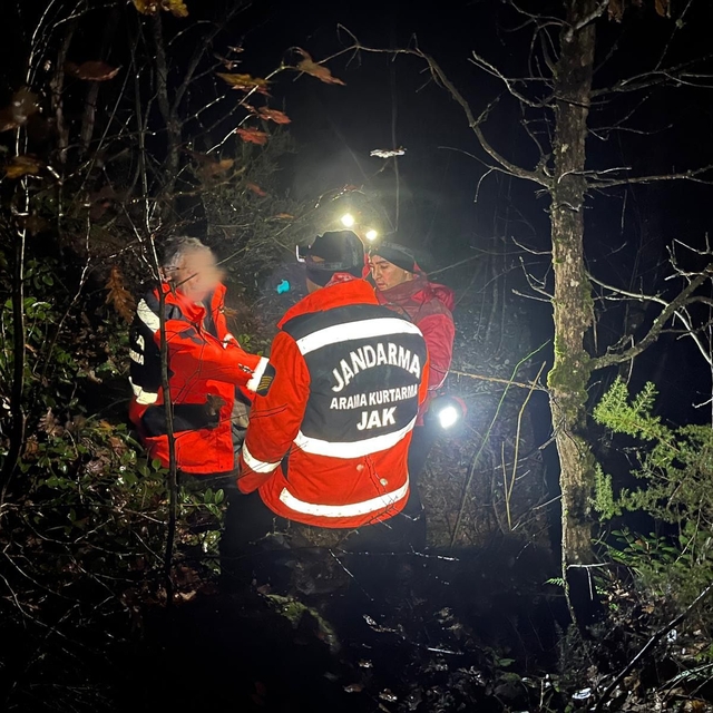 Bursa'da mantar toplamaya çıktığı ormanlık alanda kaybolan kişiyi jandarma...