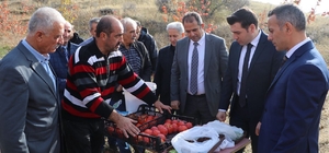 Keban'da cennet hurması hasadı yapıldı